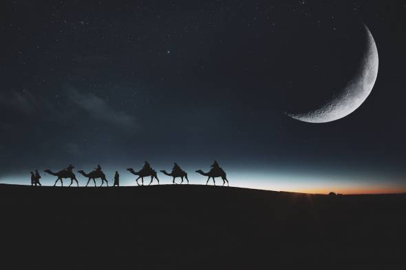 جرس فریاد می دارد . . .